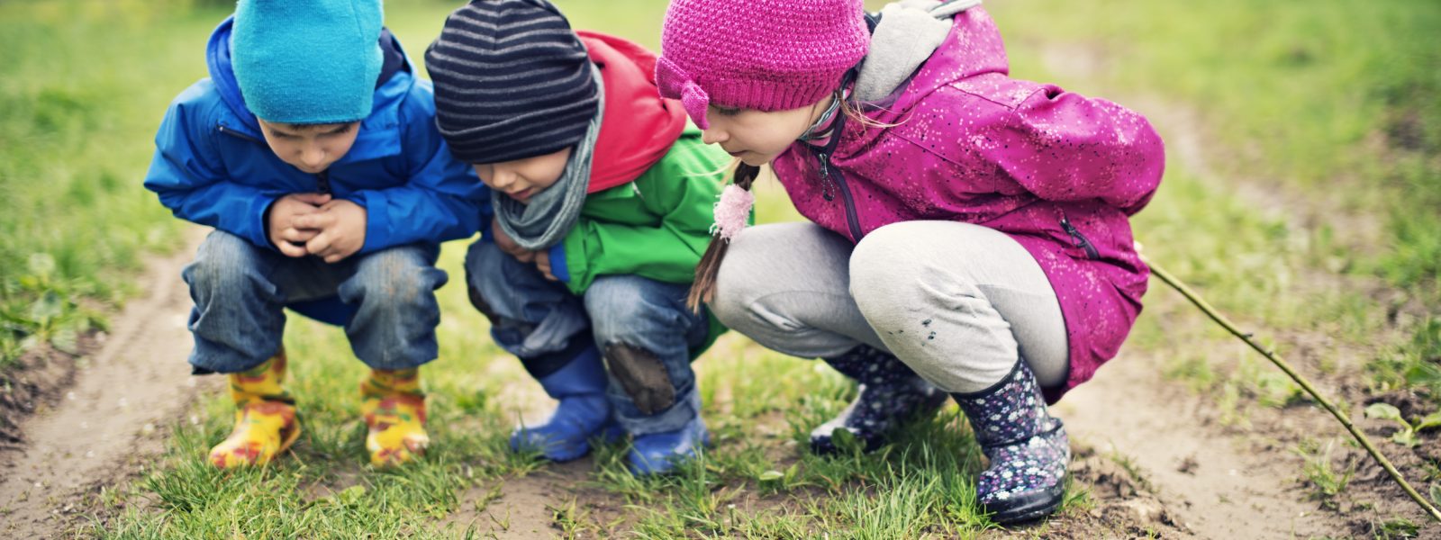 Three kids aged 5 and 8 examining a roman snail in the grass.